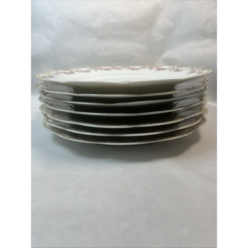 Haviland & Co Limoges Schleiger 270 Dinner Plates. 9.75